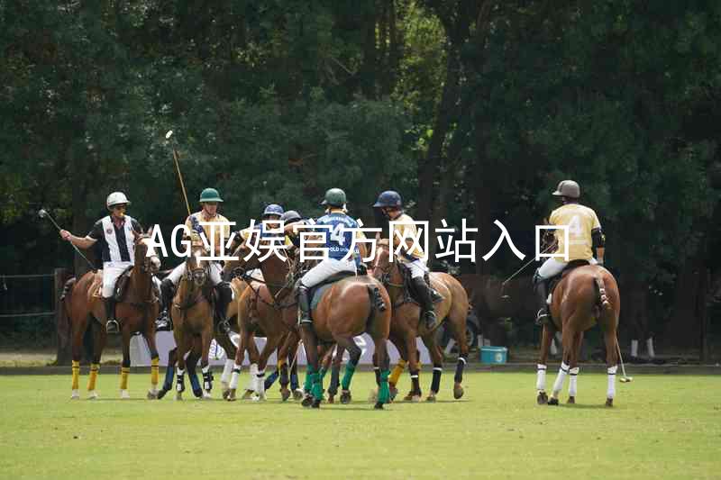 AG亚娱官方网站入口